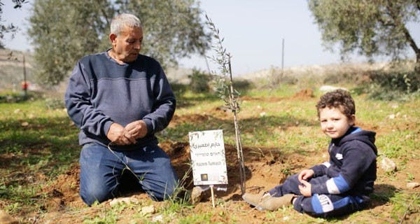 Olive tree peace planting, January 2021 (Parents Circle Forum website)