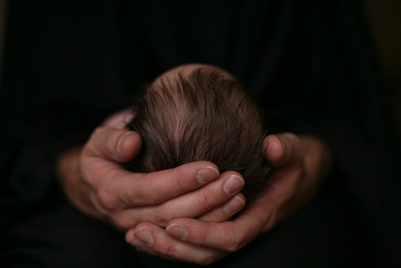 Baby head in adult hands