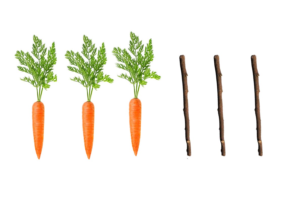 three carrots and three sticks