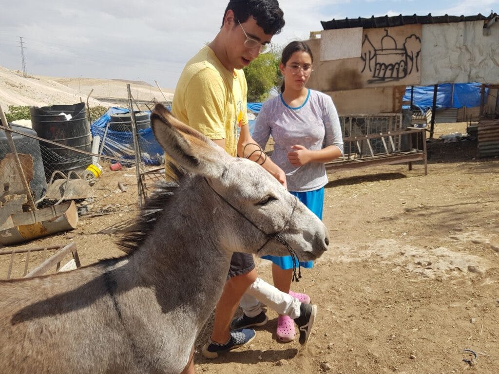 Young Israeli visitors to Khan al-Ahmar ride a donkey at the village's Tents from the Inside event (Elhanan Miller)