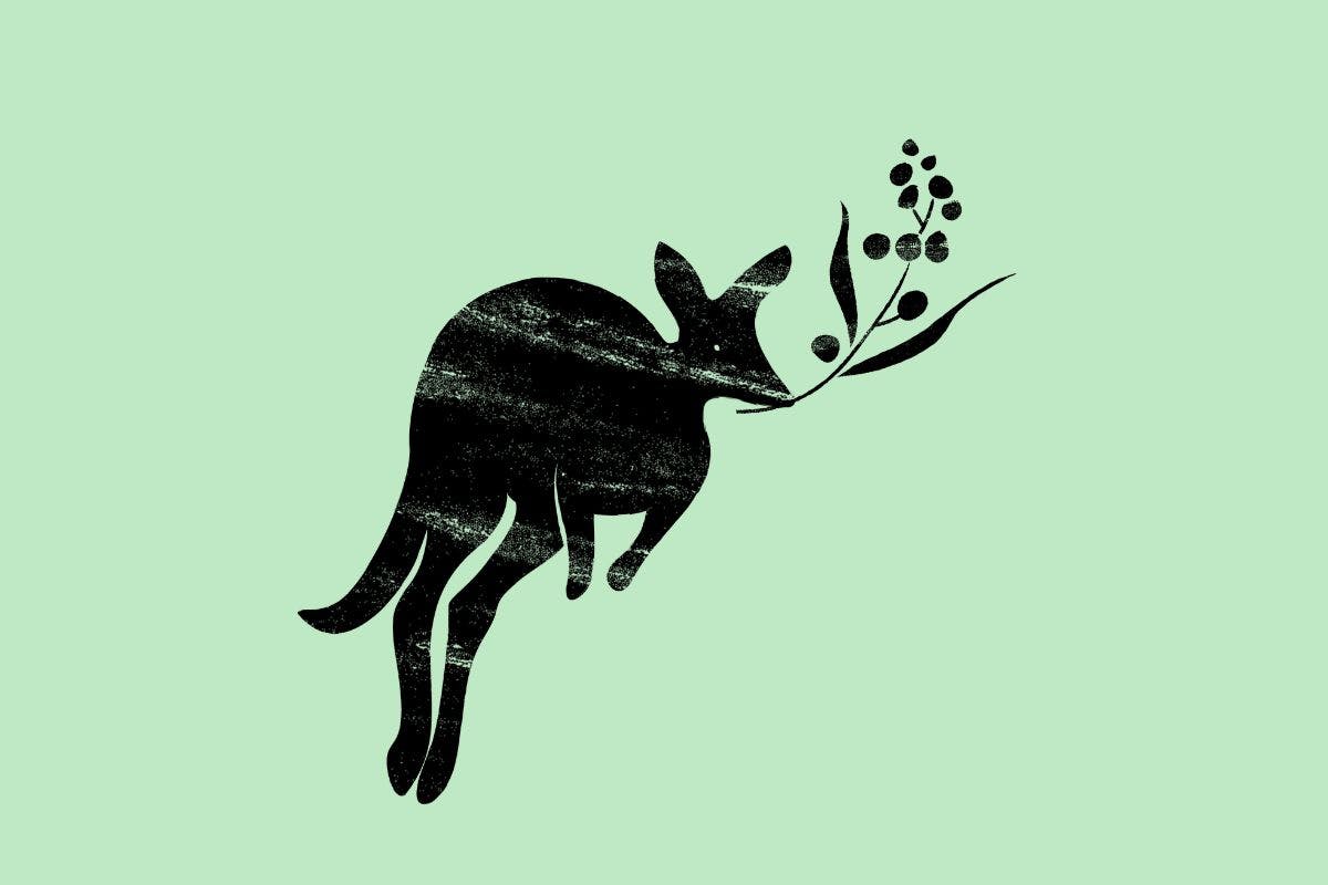 Kangaroo carrying olive branch