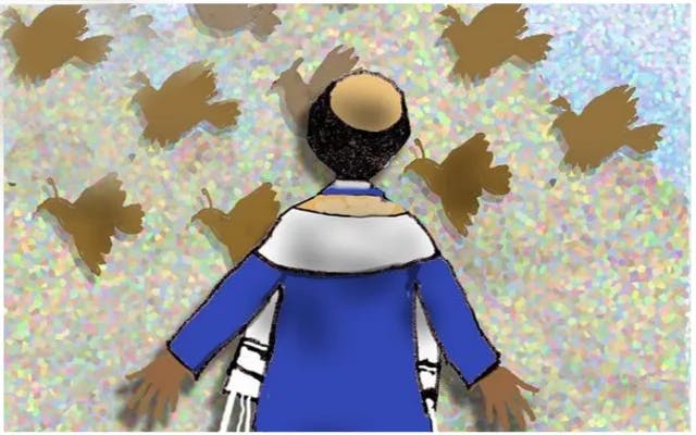 Boy wearing kippah and tallit looking at birds